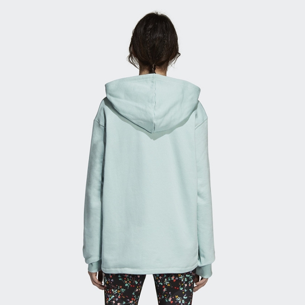 Adidas textile sweat os hoodie dh4256 bleuD025701_3